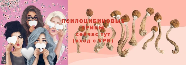 гидра Белоозёрский