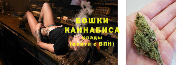 гидра Белоозёрский