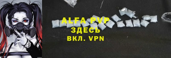 прущие крисы Белокуриха