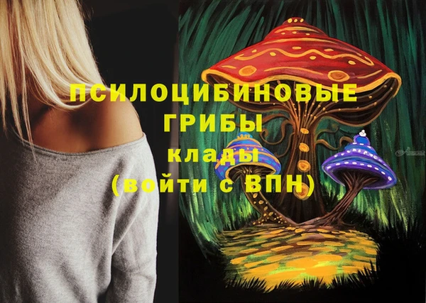 гидра Белоозёрский