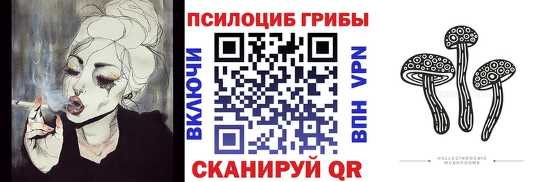 Галлюциногенные грибы MAGIC MUSHROOMS  Сланцы 