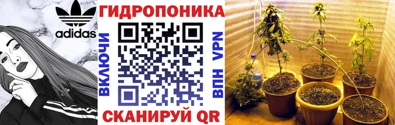 Бошки марихуана Ganja  Сланцы 